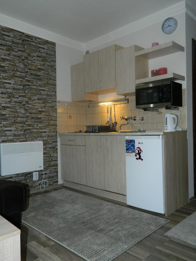 Apartment Sofi Yeti Копаоник Екстер'єр фото